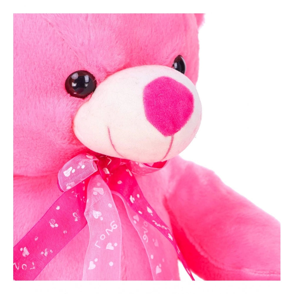 Generic Teddy Bear Toy (Pink)