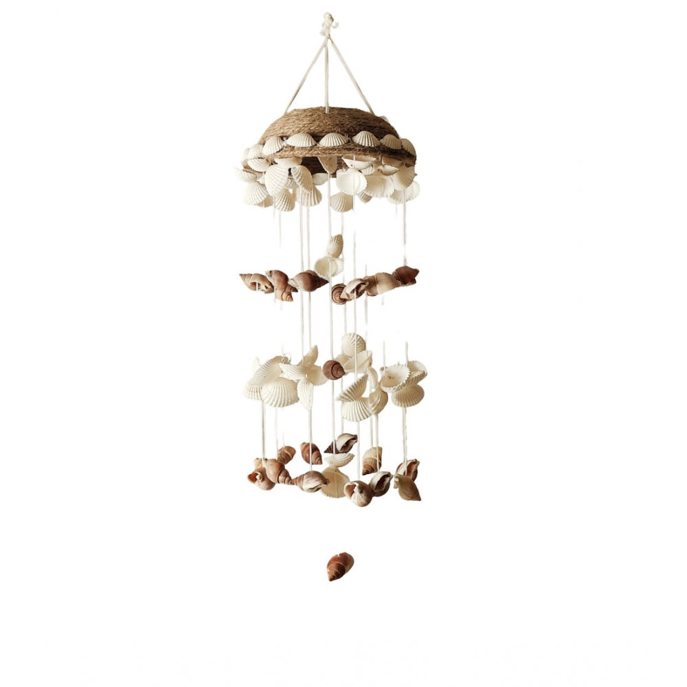 Generic Seashell Shellkrafts Home Decor (White)