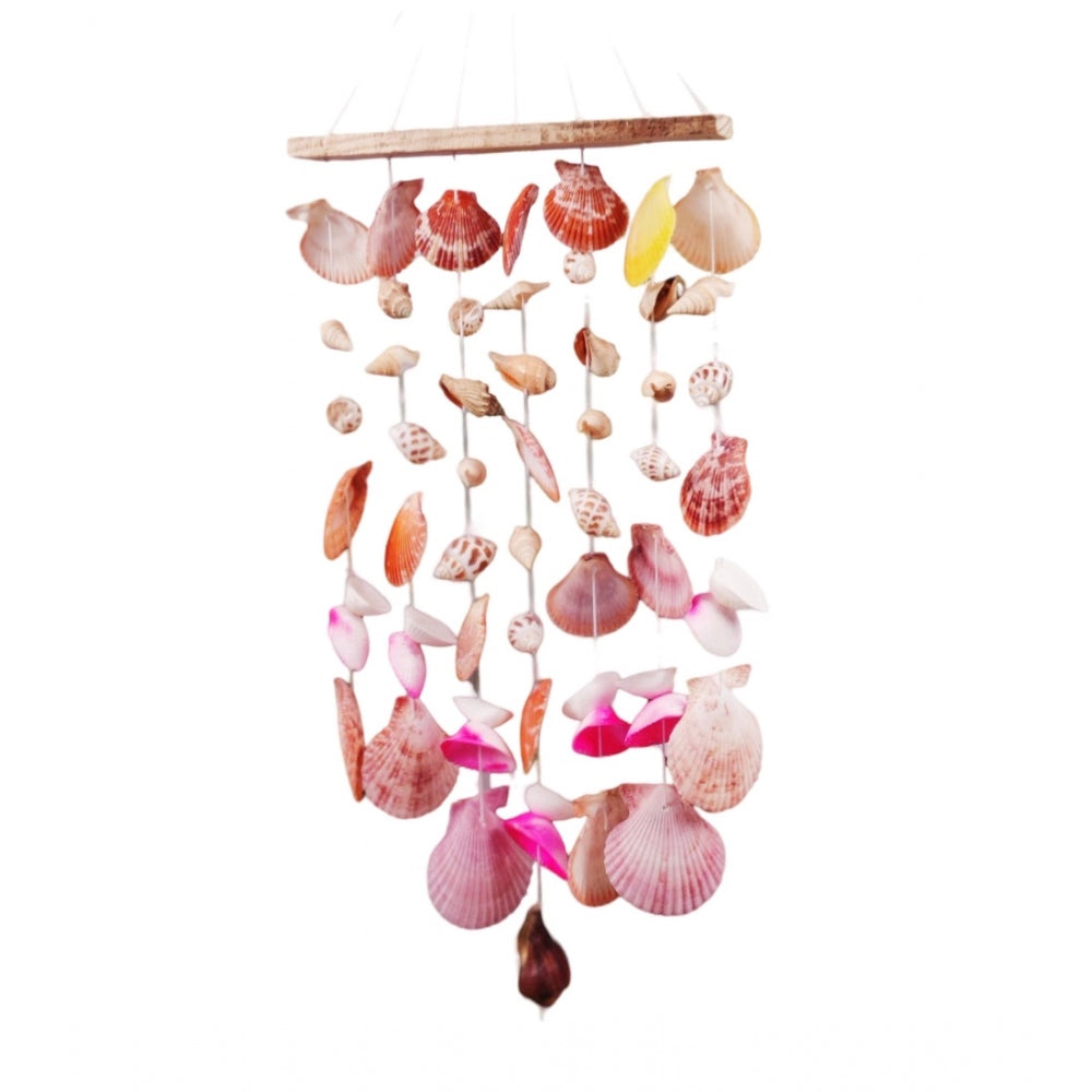 Generic Seashell Shellkrafts Home Decor (Multicolor)